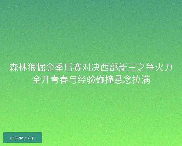 森林狼掘金季后赛对决西部新王之争火力全开青春与经验碰撞悬念拉满